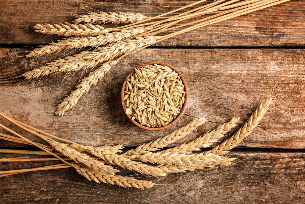 Malt in small bowl and spikes on wooden background
