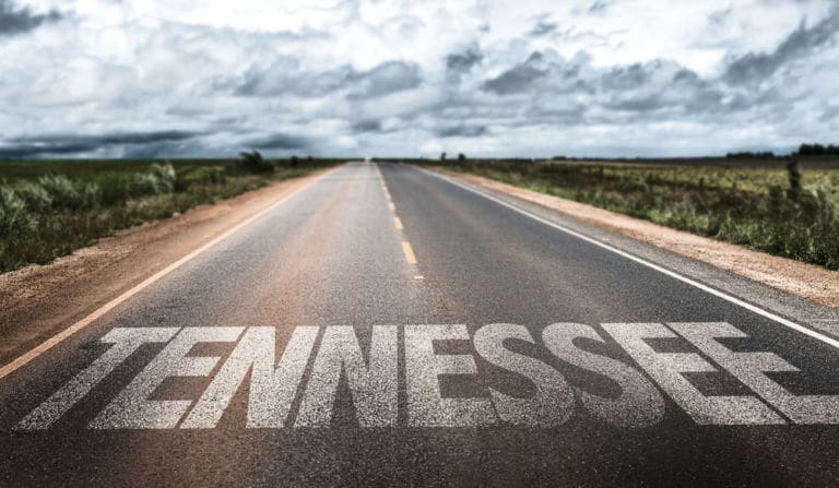 Eine Straße in Tennessee Amerika die zum Horizont führt und auf der in großen Buchstaben TENNESSEE steht als Titelbild zur Folge 2 – Über den Atlantik nach Tennessee