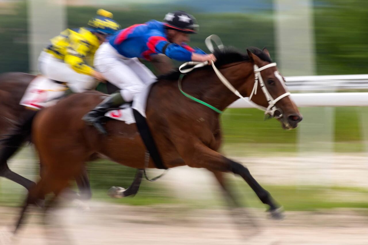 Eine Nahaufname von Pferden mit Jockey bei einem laufenden Pferderennen. Das Titelbild zur Folge 38 – Auf die Whiskys, fertig, trinkt!