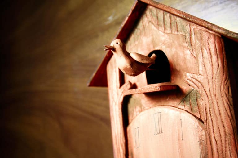 Ein Kuckuck der aus einer Kuckusuhr herauskommt als Titelbild für Folge 52 - Was zum Kuckuck?