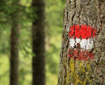 Hiking Trail Marker in Austria - The Austrian Flag