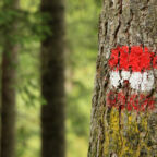 Hiking Trail Marker in Austria - The Austrian Flag